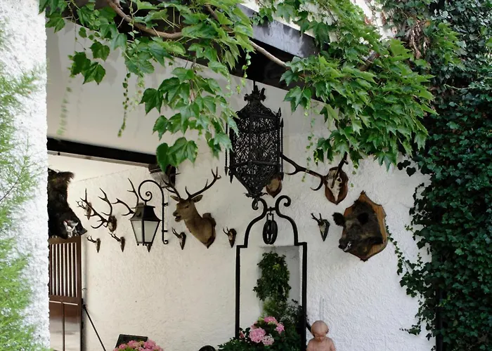 Hôtellerie Du Bas-Bréau